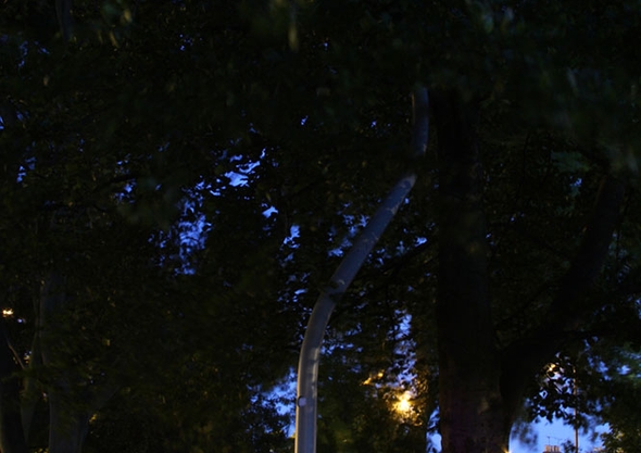 Normand Park Interactive lighting