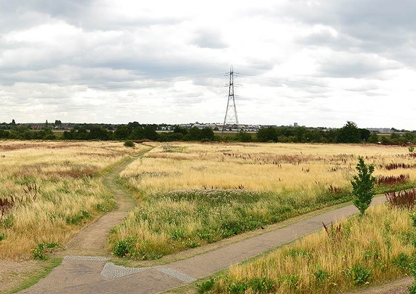 Tottenham Hale Green and Open Spaces