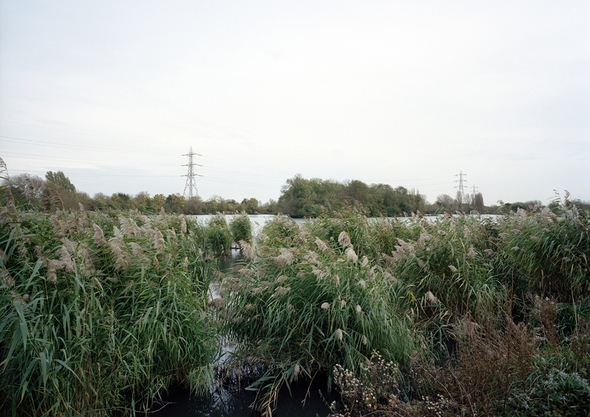 Walthamstow Wetlands - Interventions - Ecology